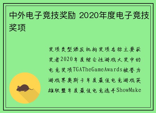 中外电子竞技奖励 2020年度电子竞技奖项